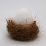 Bath Eggs - Coconut