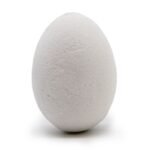 Bath Eggs - Coconut