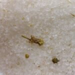 Himalayan Bath Salt Blend 500g - Skin Revive 