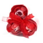 Seifenblumen Set Herzbox Rosen Rot – 3er Geschenkset mit Duft Rosenblüten für Bad & Geschenkideen