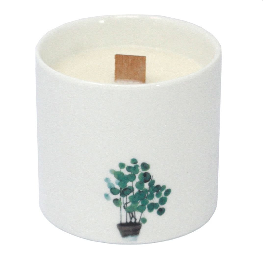 bG9jYWw6Ly9tZWRpYS85Ui9KRS82MFIzMEMxRzZNVDNKRTlSLzQyZjE5ZTkwLmpwZWc-1.jpg Botanical Duftkerzen Set Wild Jasmine – 3er Kerzen Set mit Holzdocht, Sojawachs & Keramikgläsern