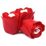 Seifenblumen Set Herzbox Rosen Rot