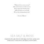 Sojawachskerze Meersalz Moos – Botanische Duftkerze im Glas – Natürlich & Frisch – 10x10 cm – 30–40h