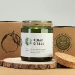 Woodwick Sojakerze Forest Resin – Duftkerze im Glas mit Holzdocht, Wald Duft & Knistereffekt – 9 x 7 cm