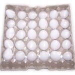 Bath Eggs - Coconut